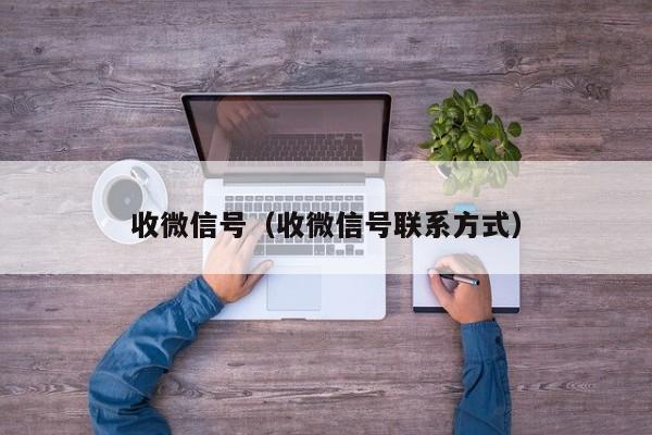 收微信号（收微信号联系方式）